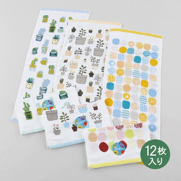 表ガーゼ裏無撚糸フェイスタオル3柄2色込