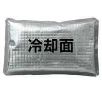  【2個組】アイスパック（日本製）AZ-865933