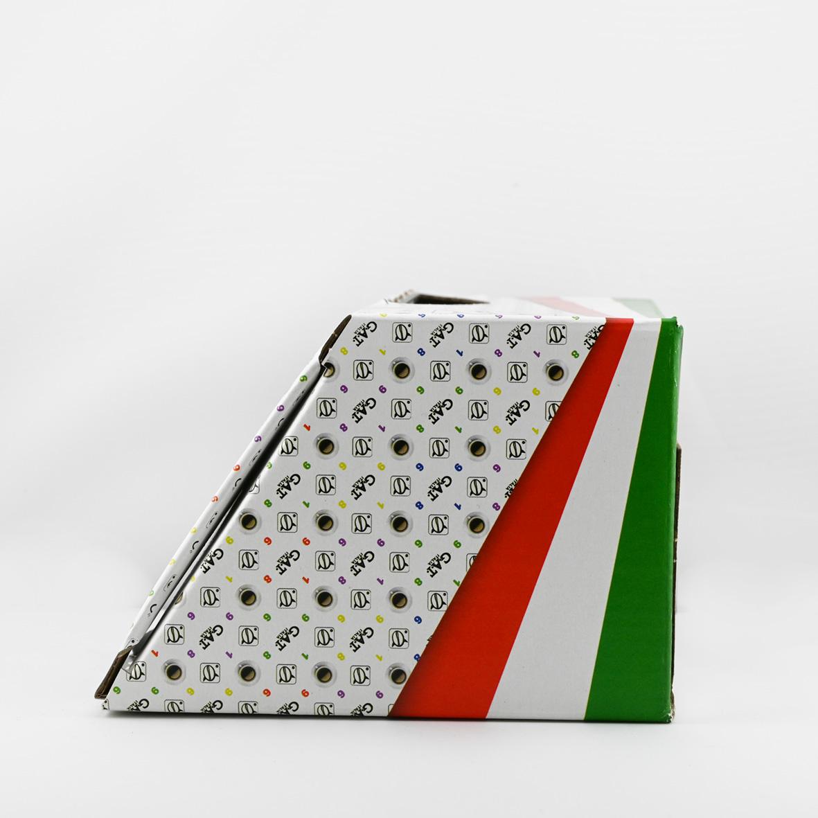 イタリア製　エスプレッソメーカー　GATカフェティエラ　レディオロ