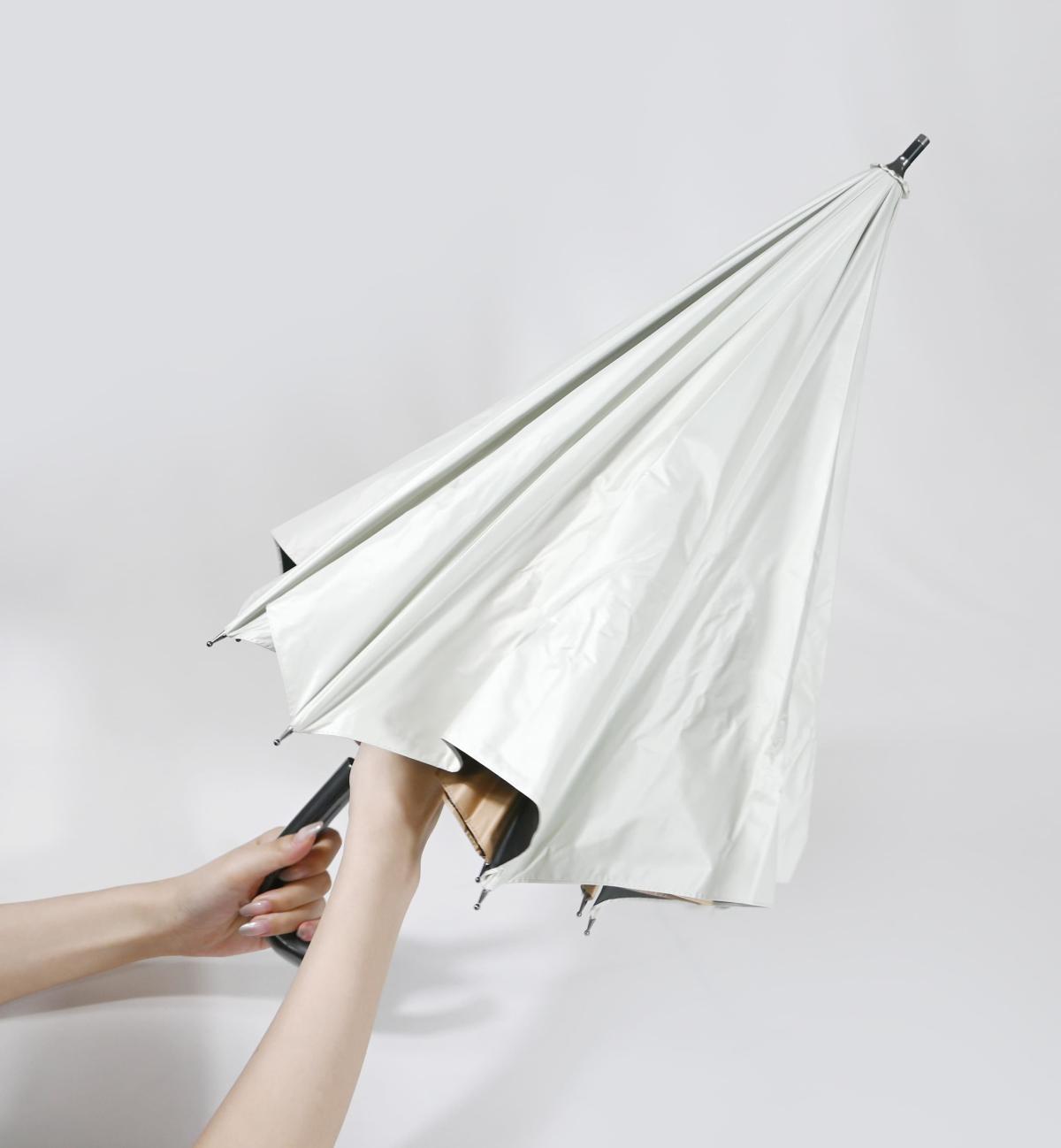 スギタ　トランスフォーム傘