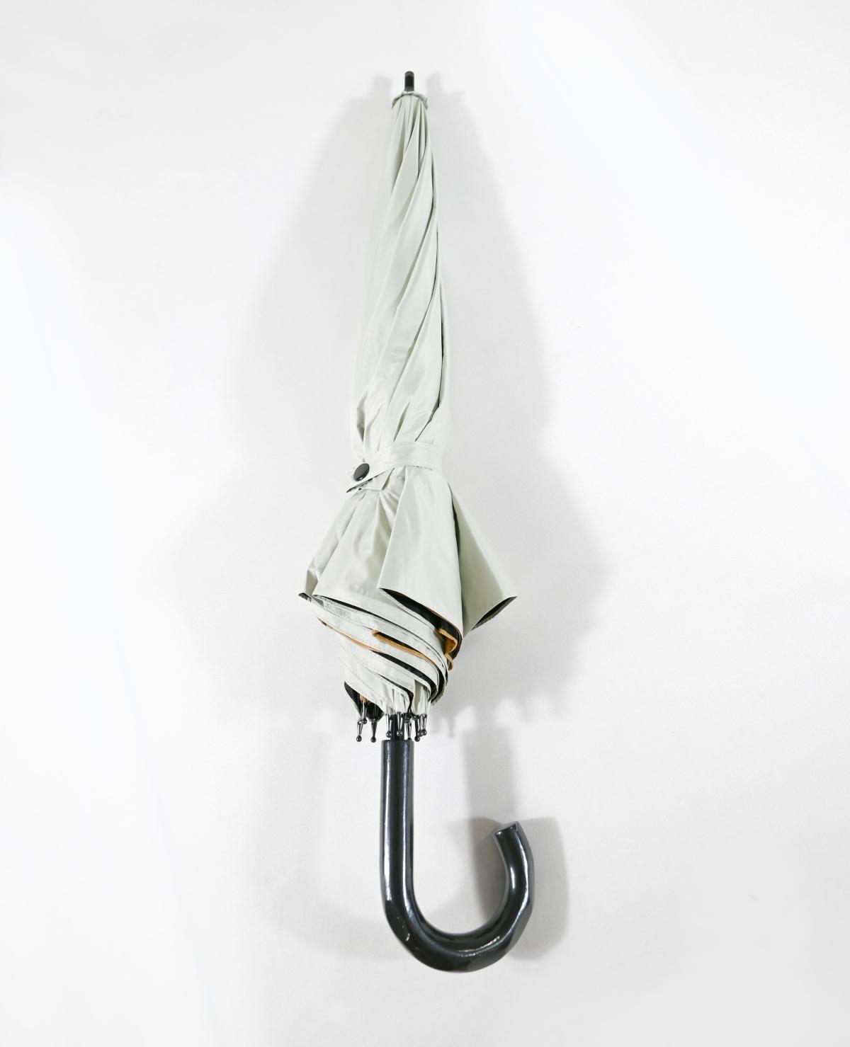 スギタ　トランスフォーム傘