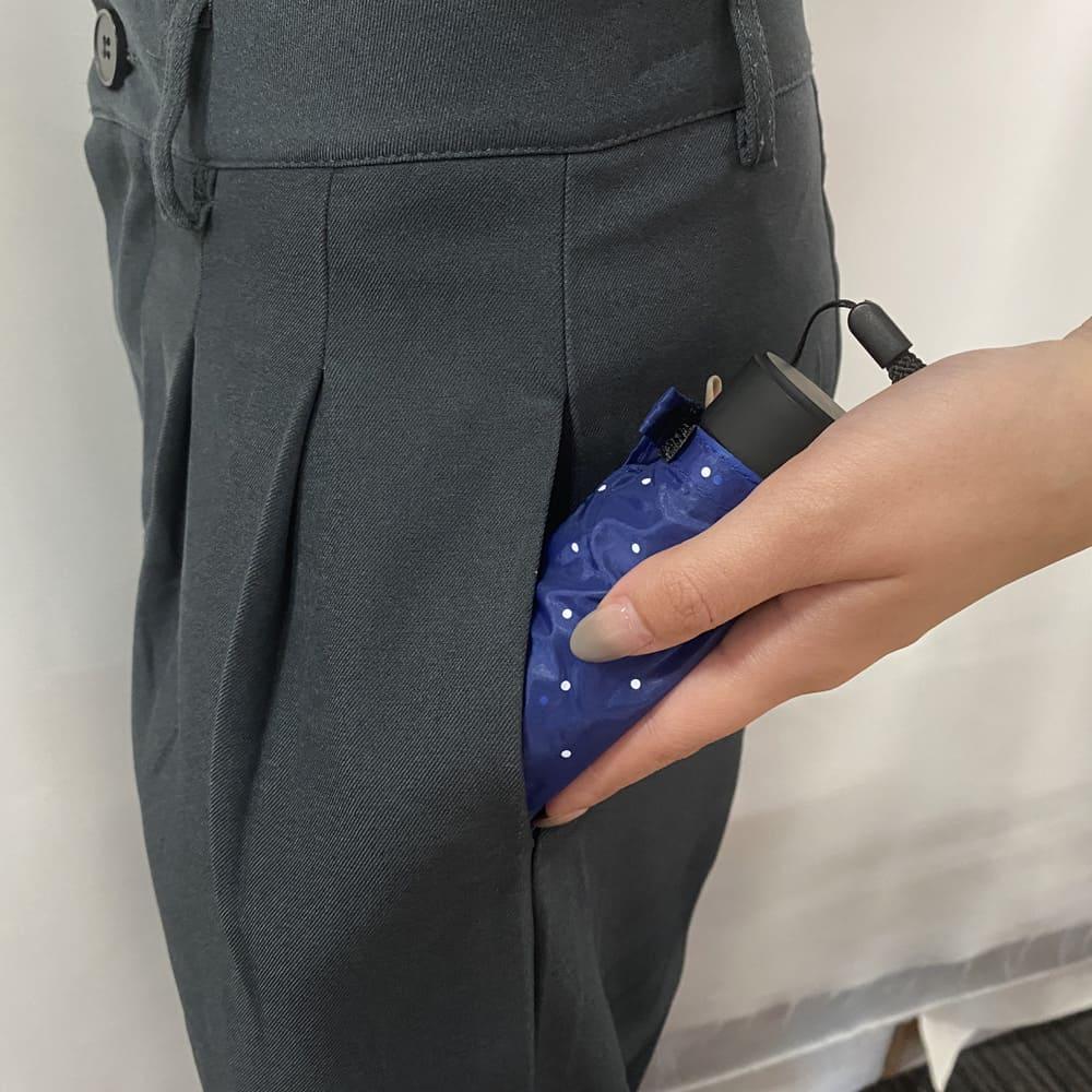 スギタ　ポケブレラ