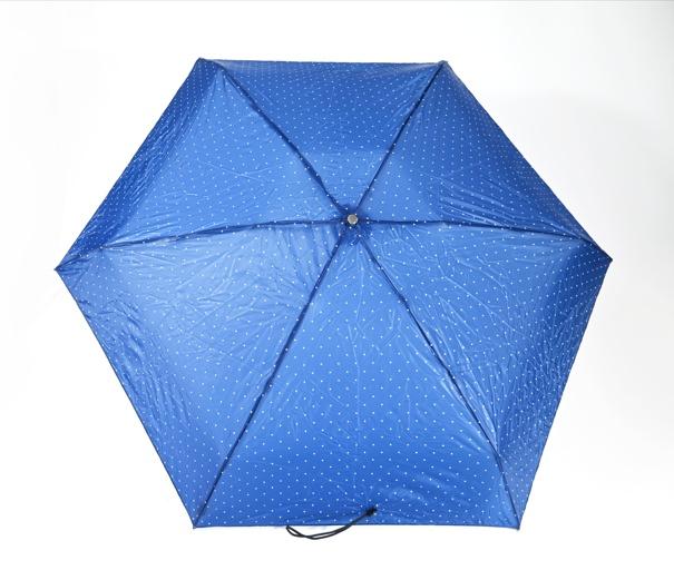 スギタ　ポケブレラ