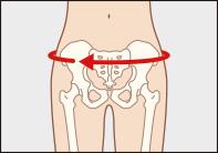 ソルボDo中殿筋腰ガード　M