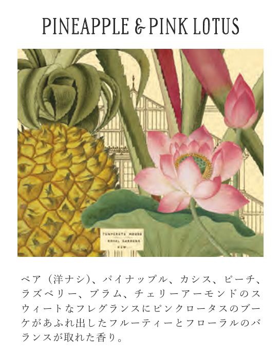 KEW GARDEN Shea Soaps Pineapple  Pink Lotus