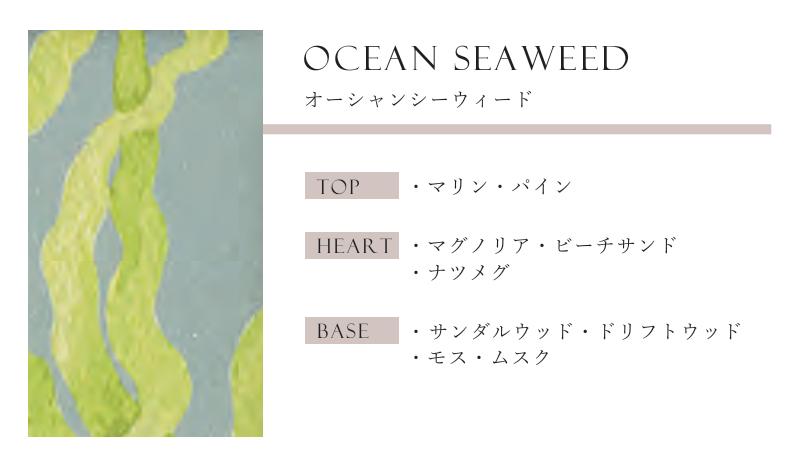 Anniversary Collection シアバターソープ オーシャンシーウィード