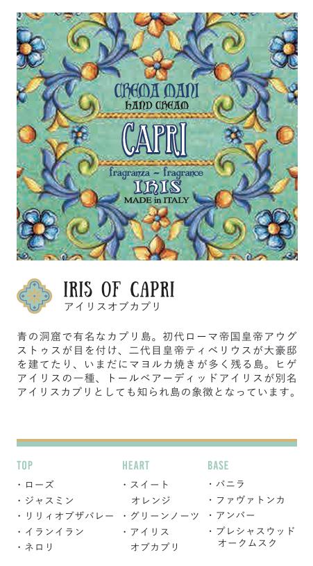 Rudy Le Maioliche ディフューザー アイリスオブカプリ