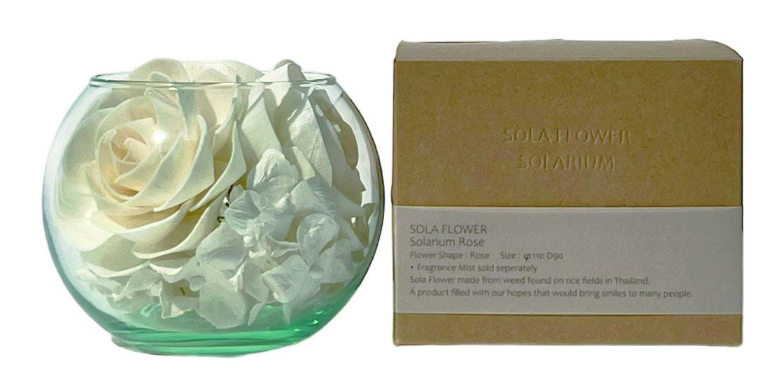 Sola Flower ソラフラワー ソラリウム Rose ローズ