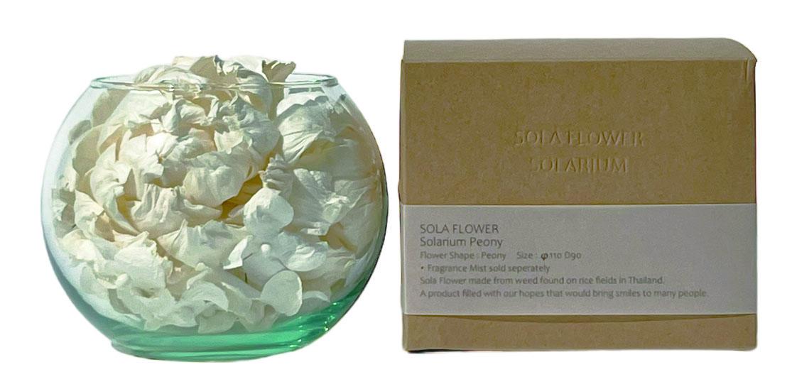 Sola Flower ソラフラワー ソラリウム Peony ピオニー