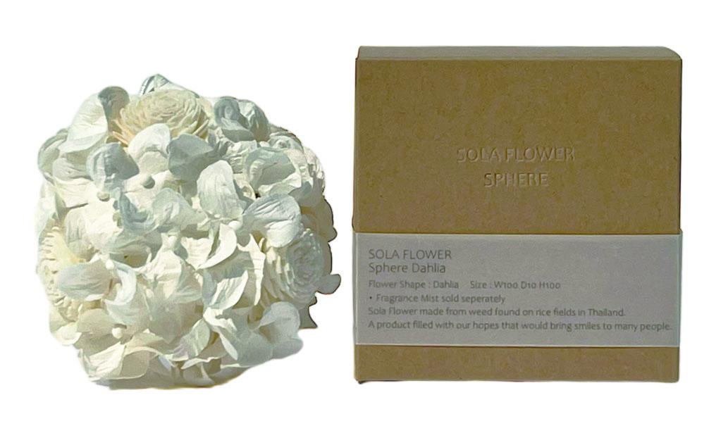 Sola Flower ソラフラワー Sphere スフィア Dahlia ダリア