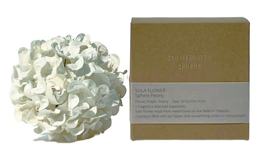 Sola Flower ソラフラワー Sphere スフィア Peony ピオニー