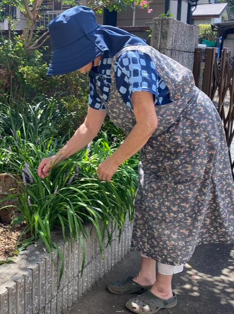 日本製 ガーデンハット 6枚込 農作業 ガーデニング グランドゴルフ 日焼け対策 レディース