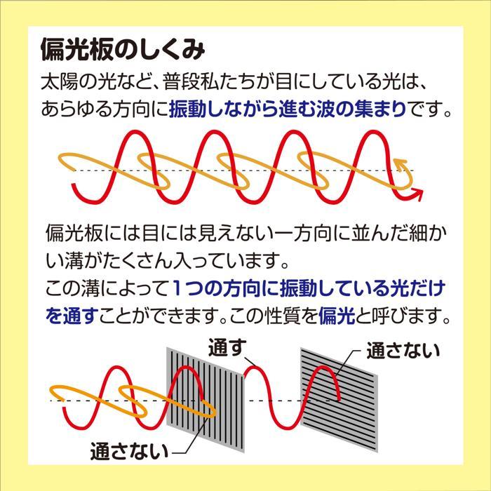 偏光板