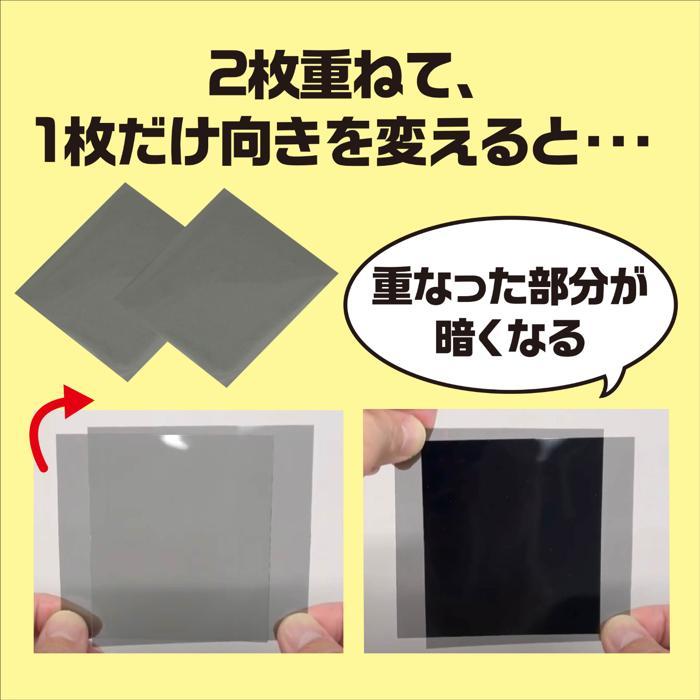 偏光板