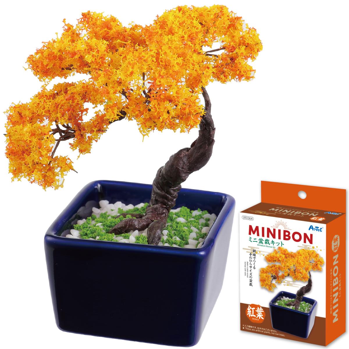 ミニ盆栽キット　ＭＩＮＩＢＯＮ　紅葉
