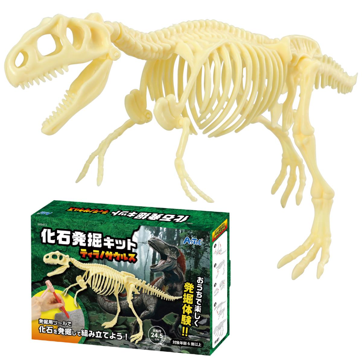 化石発掘キット　ティラノサウルス