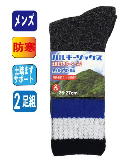 バルキーソックス ライン 2足組 2527cm