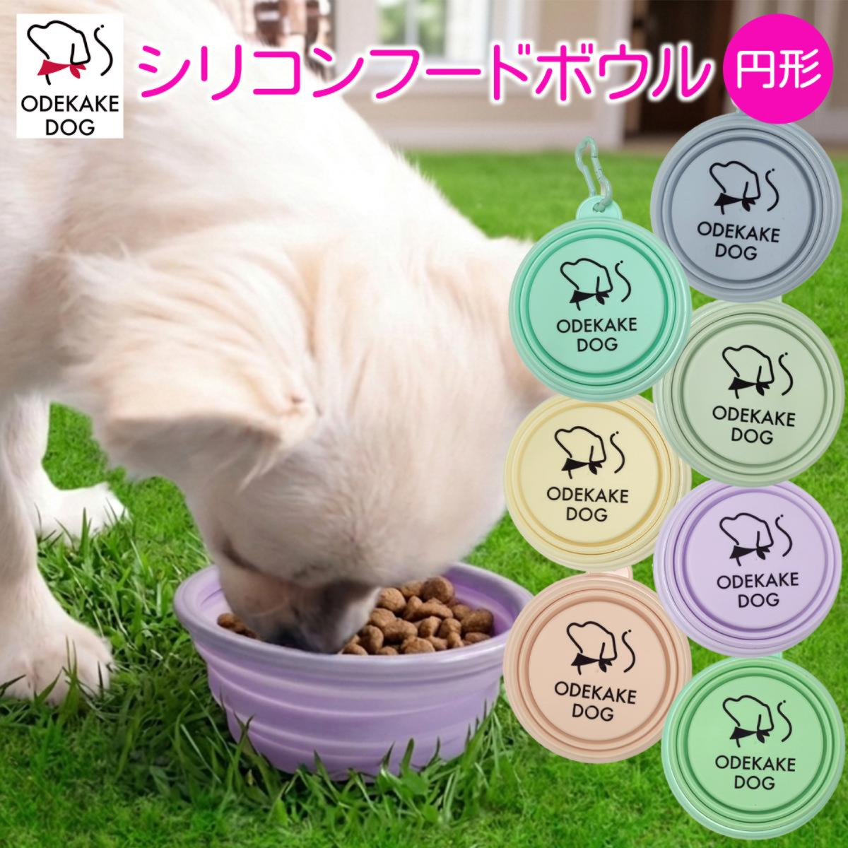 ODEKAKE DOG 折りたたみ シリコン フードボウル 円形 犬 猫|餌入れ|水飲み|カラビナ付