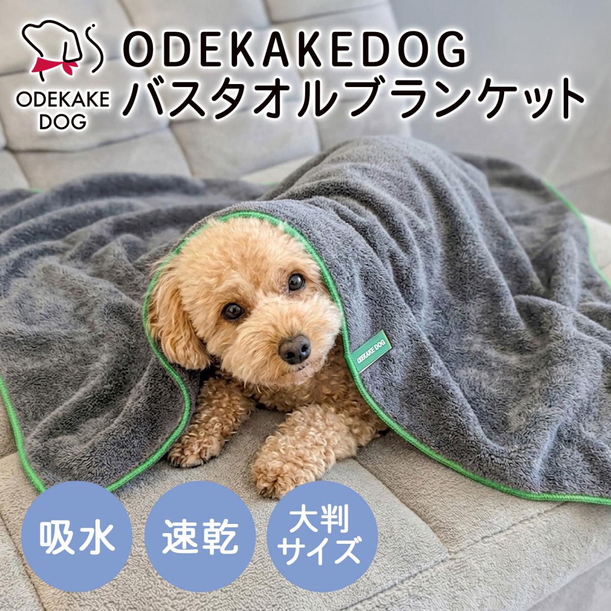 ODEKAKE DOG ペットバスタオルブランケット 犬 猫|速乾|吸水|ペットタオル|ドライタオル