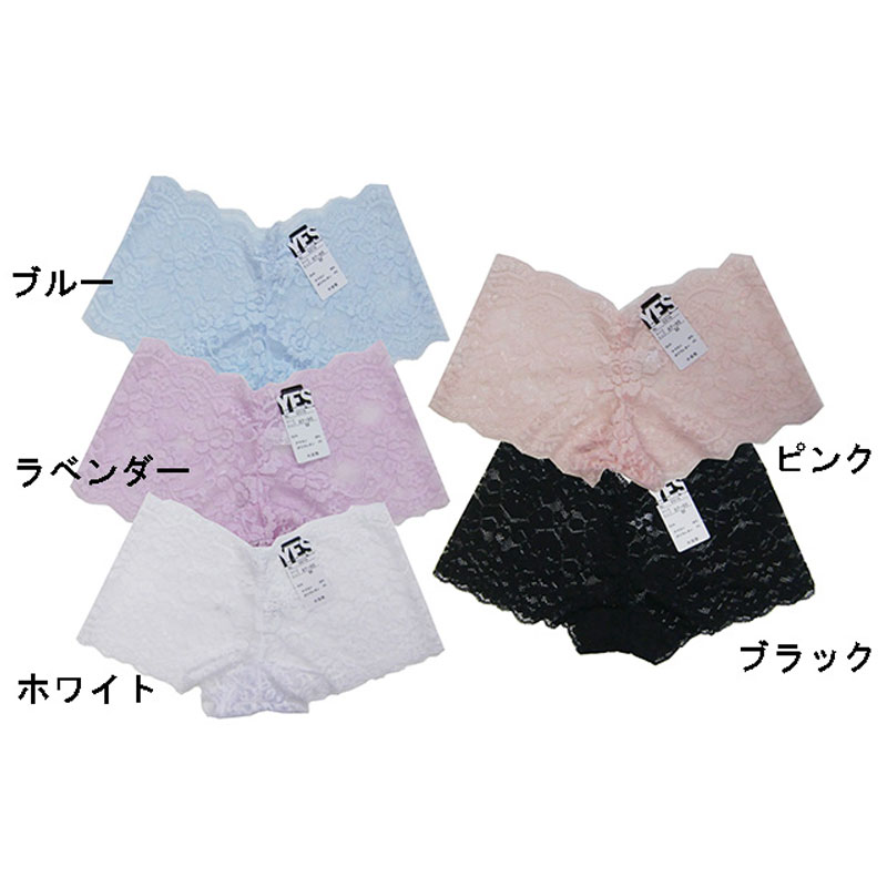 総レースヒップハングショーツ