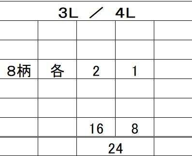 大寸裏シャギー表起毛プリント両ポケパンツ24本セット