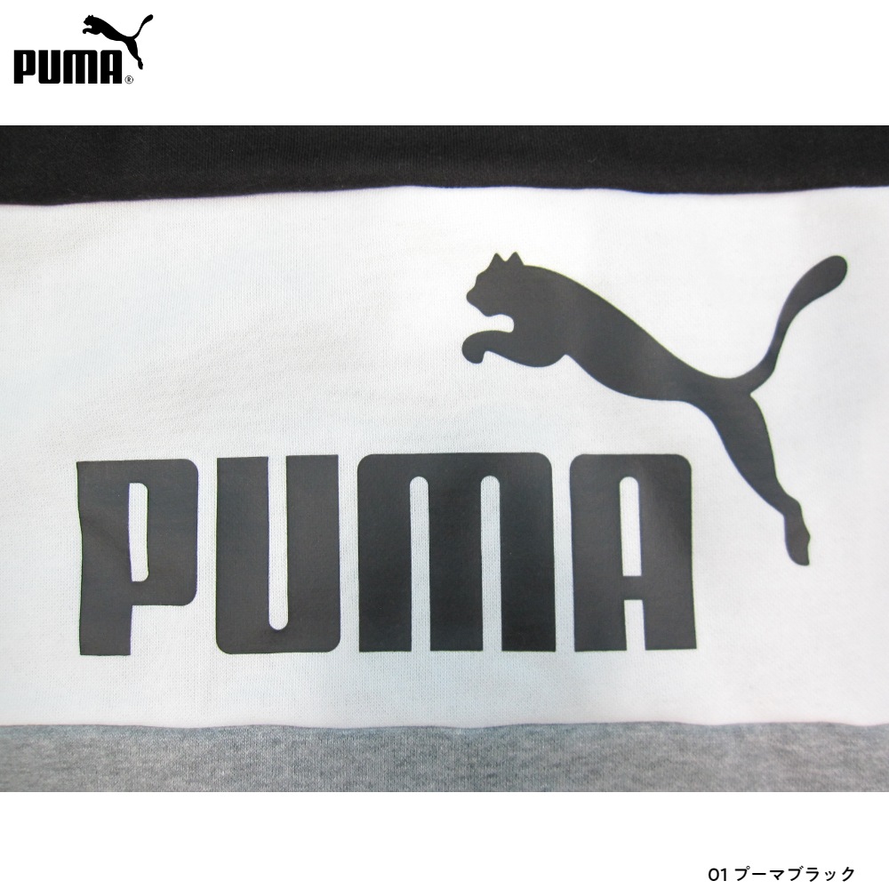 プーマ PUMA  ジュニア  ESS＋ カラーブロック裏起毛パーカー 10枚入り 672635