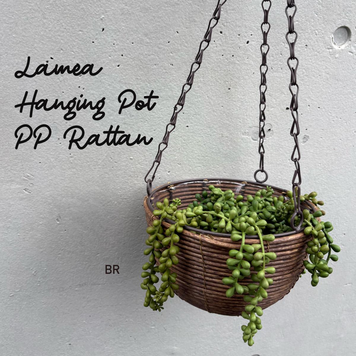 ＰＰラタン素材のハンギングバスケット　ラメア・ハンギングバスケット・ＰＰラタン　