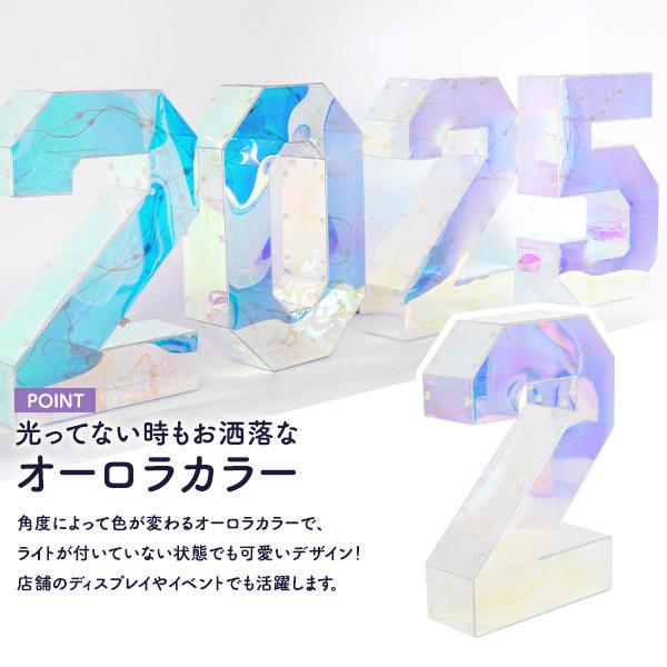 2025が多彩なLEDで幻想的に光るお店などの演出に　LEDイルミネーションオブジェ 2025