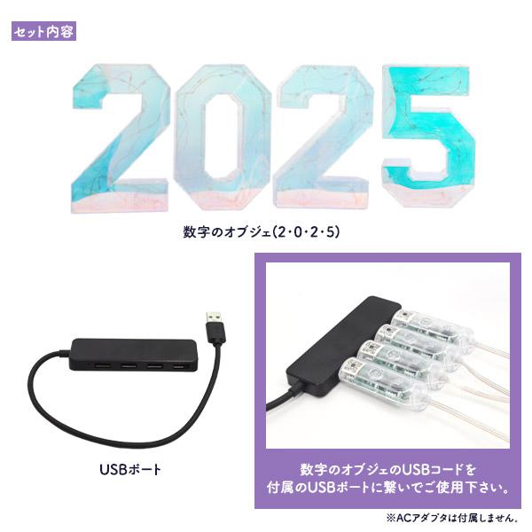 2025が多彩なLEDで幻想的に光るお店などの演出に　LEDイルミネーションオブジェ 2025