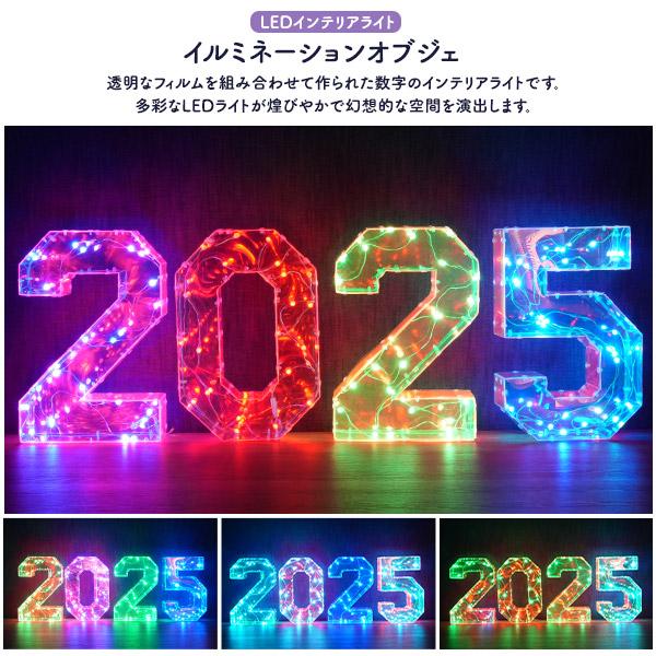 2025が多彩なLEDで幻想的に光るお店などの演出に　LEDイルミネーションオブジェ 2025