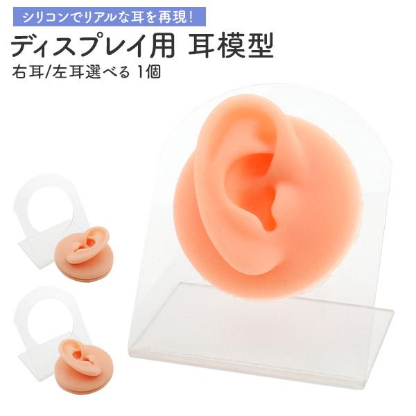 シリコンでリアルな耳を再現。　ディスプレイ用 耳模型 スタンド付き 右耳/左耳