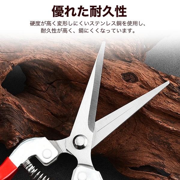 軽量ギザ刃で切れ味抜群　芽切ばさみ