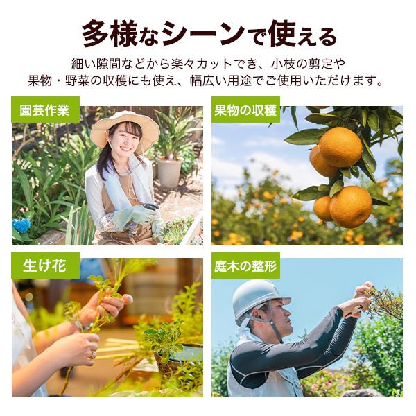 軽量ギザ刃で切れ味抜群　芽切ばさみ