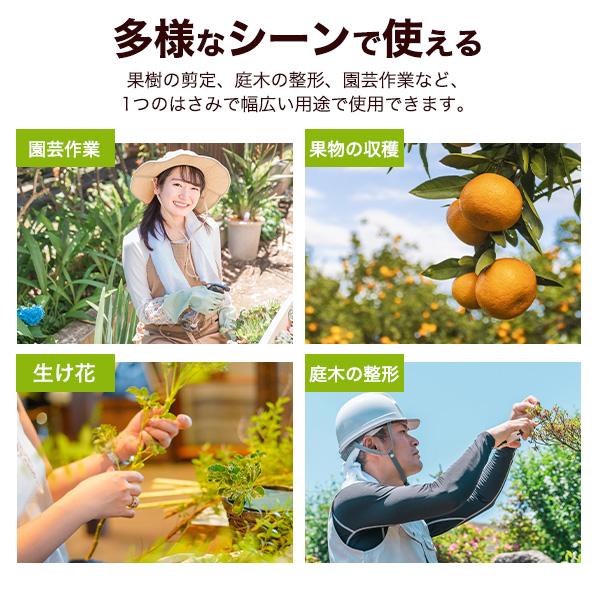 高硬度炭素鋼刃SK5で切れ味抜群　芽切ばさみ