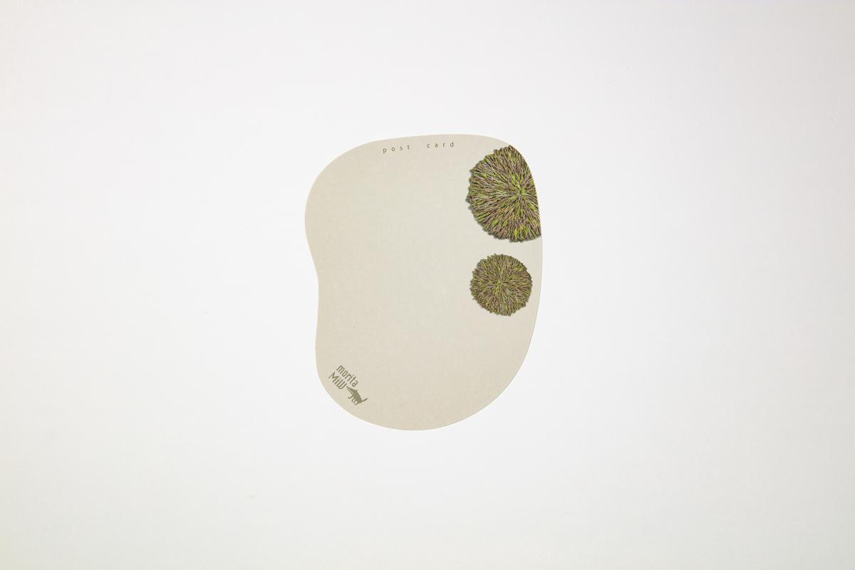 moritaMiWポストカード第6弾