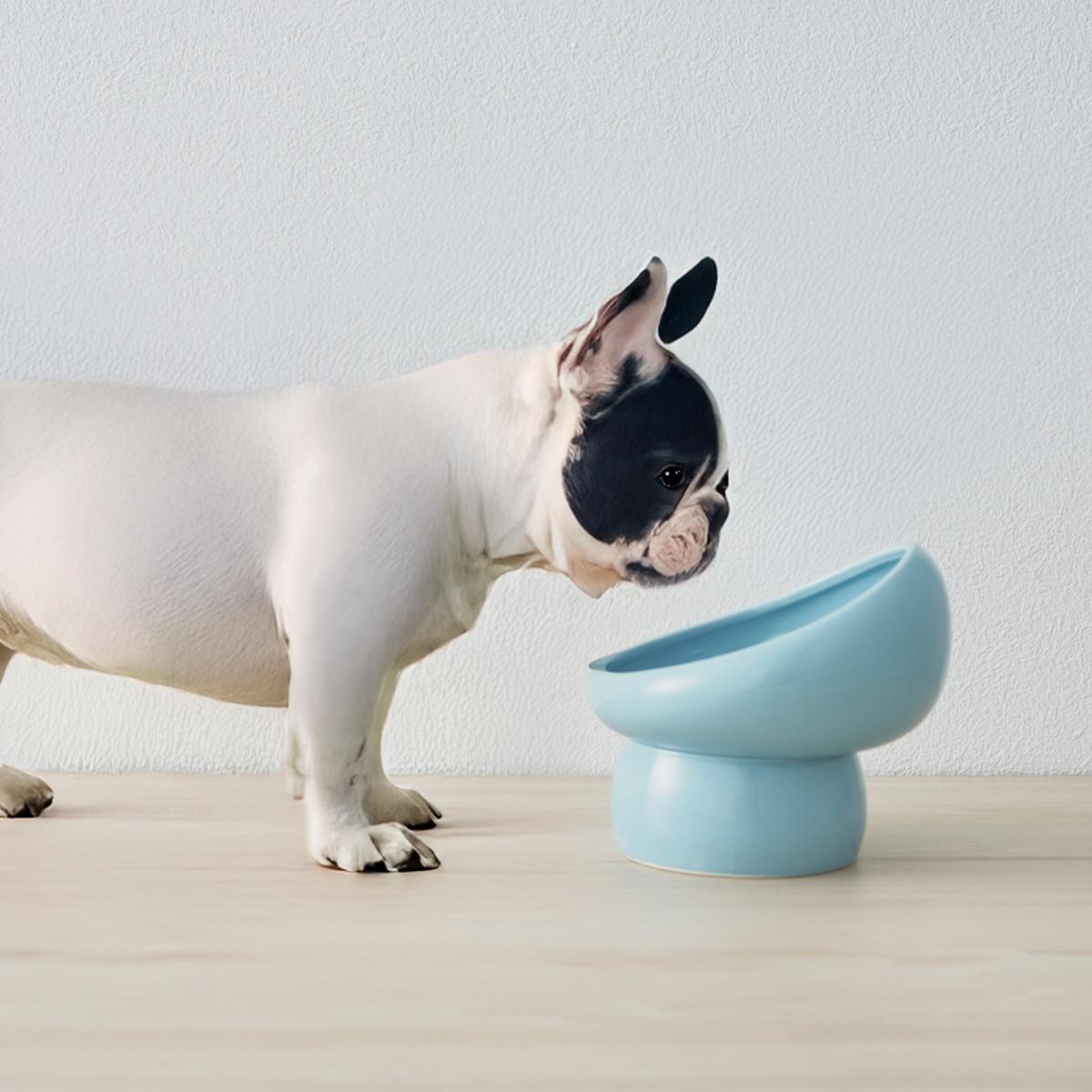 鼻ぺちゃFood bowl フードボウル 小型犬用