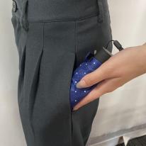 スギタ　ポケブレラ