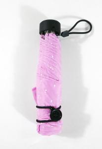 スギタ　ポケブレラ