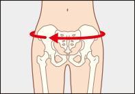 ソルボ中殿筋+腰ガード　メッシュ薄型　M