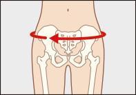 ソルボDo中殿筋+腰ガード　M