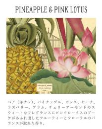 KEW GARDEN Shea Soaps Pineapple & Pink Lotus