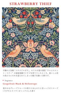 RETELLINGS OF CLASSIC ソラフラワーDF STRAWBERRY THIEF