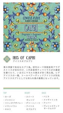 Rudy Le Maioliche リキッドソープ リフィル（詰替用）アイリスオブカプリ