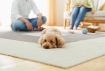 毛足が長いジョイントラグ　ピタぺトモ