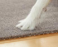 毛足が長いジョイントラグ　ピタぺトモ