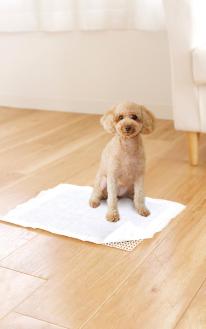 すべり止めネット　スベラックス ペット