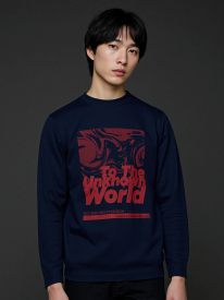 【大寸：ロビンソン】紳士　綿100　プリント　ロングＴシャツ　カットソー　メンズ　長袖　年間物