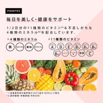 ファインプロテインDIETベリーMIX風味300g
