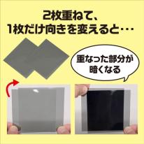 偏光板