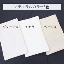 【１０ヶ入り】カバー付き塩まくら（カバーの色はおまかせ）